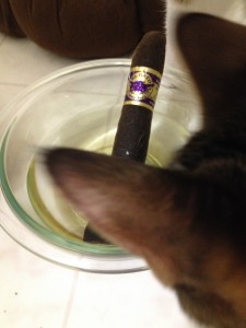 Catnip Cigar